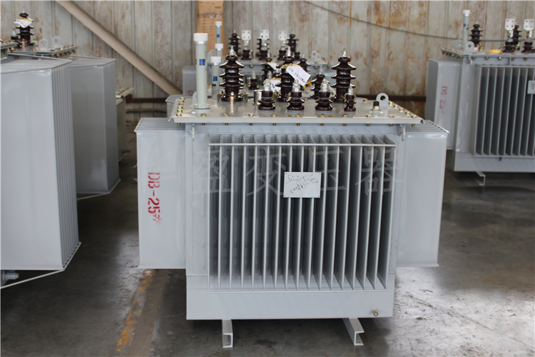 阳江S20-800kVA/10kV/0.4kV变压器